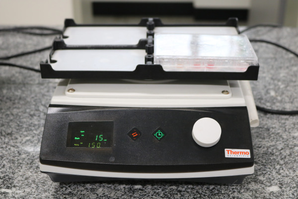 Agitador Thermo Scientific